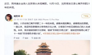 男友死缓、丈夫入狱，如今48岁又被释永信牵连，刘芳菲的人生真惨